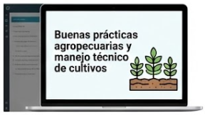 miniatura del curso